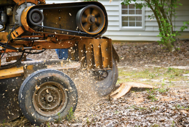 stump removal in Woonsocket