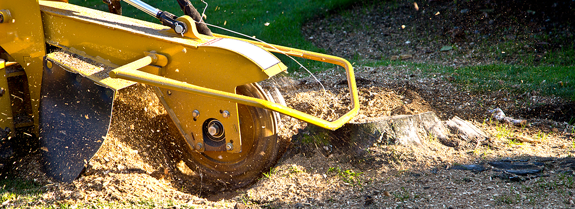 RI Stump Removal